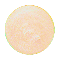 zip around wallet peach - Accessories